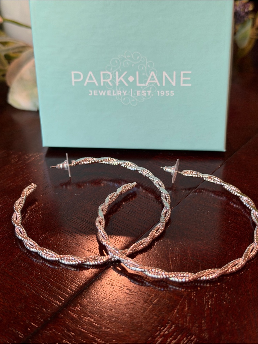 Park Lane Wrangler Earrings